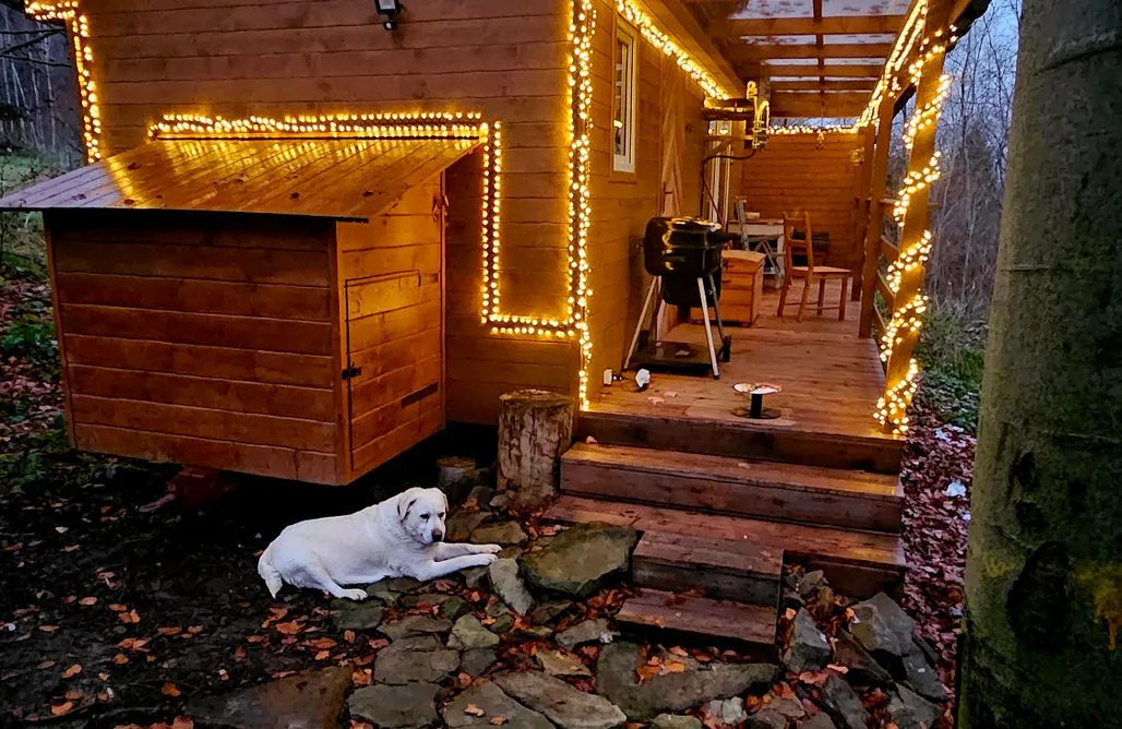 AlohaCamp Domek w Bukach  2