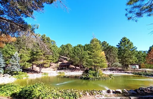Imagen de Zafiro Lagunazo