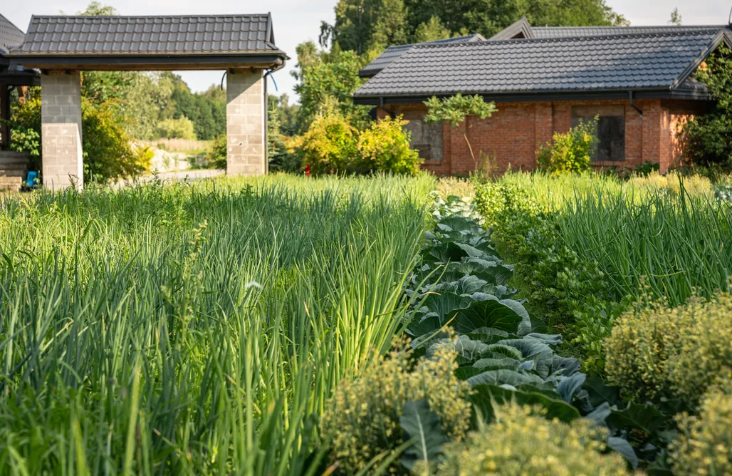 JK Dwór Grabowszczyzna AlohaCamp