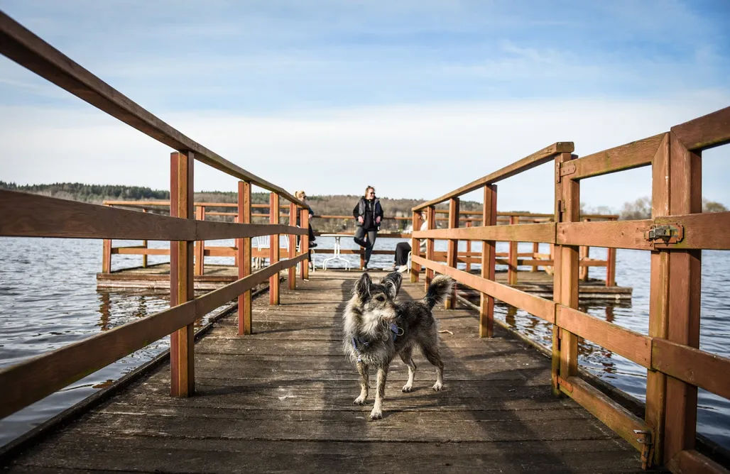 ubytovanie AlohaCamp Zakątek Mala 5