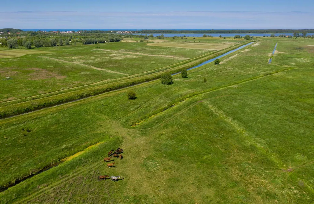 noclegi AlohaCamp Domki nad morzem w Lędzinie 3