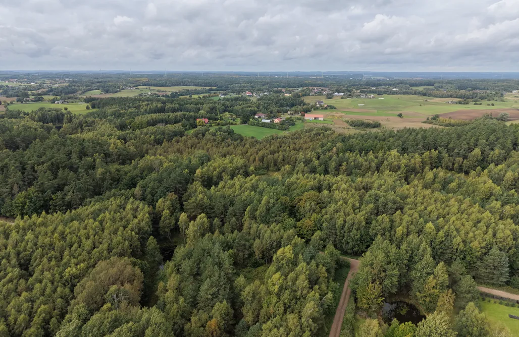 noclegi AlohaCamp Manna Gajowa 1