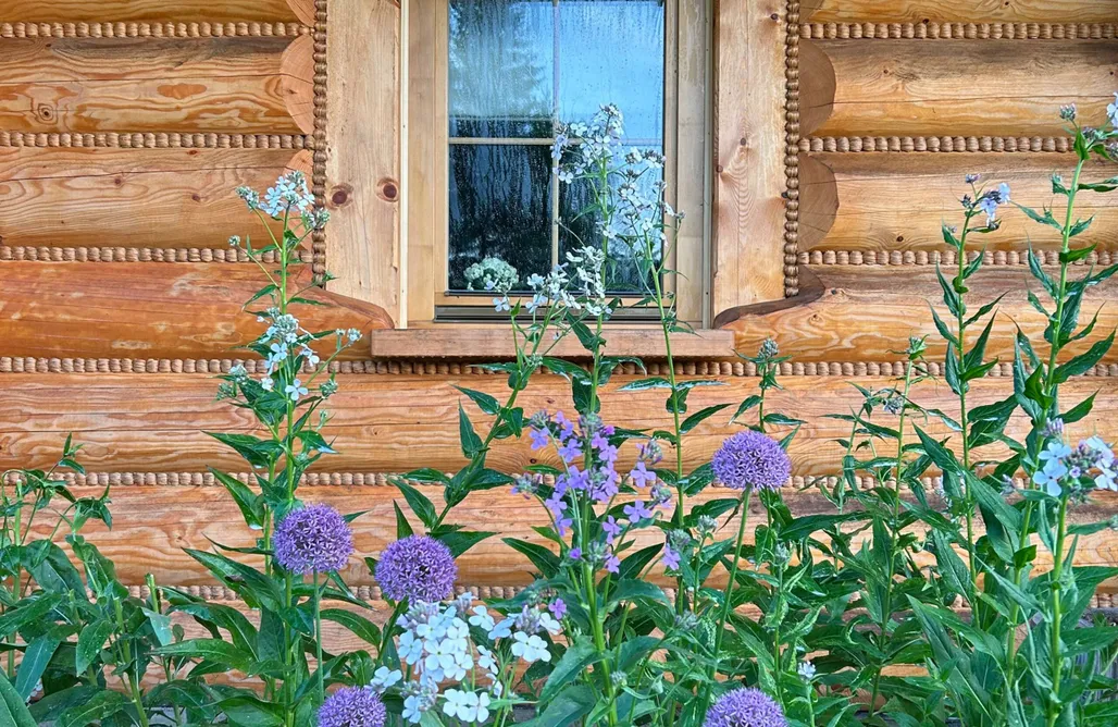 AlohaCamp accommodaties Dom z drzew w Istebnej 1