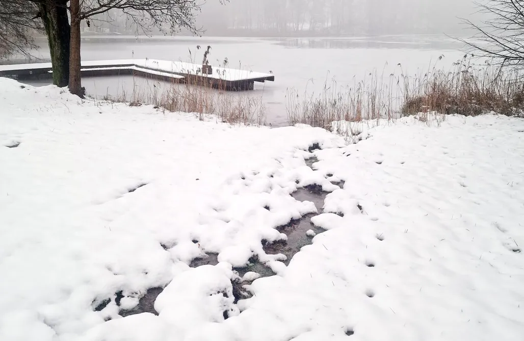 Vacanza In Polonia Rezerwat 1