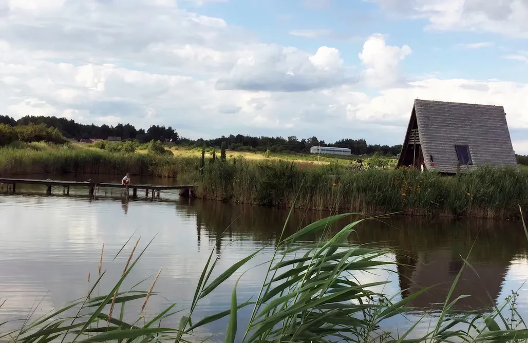 AlohaCamp accommodation Domek na wyspie w otoczeniu natury 4