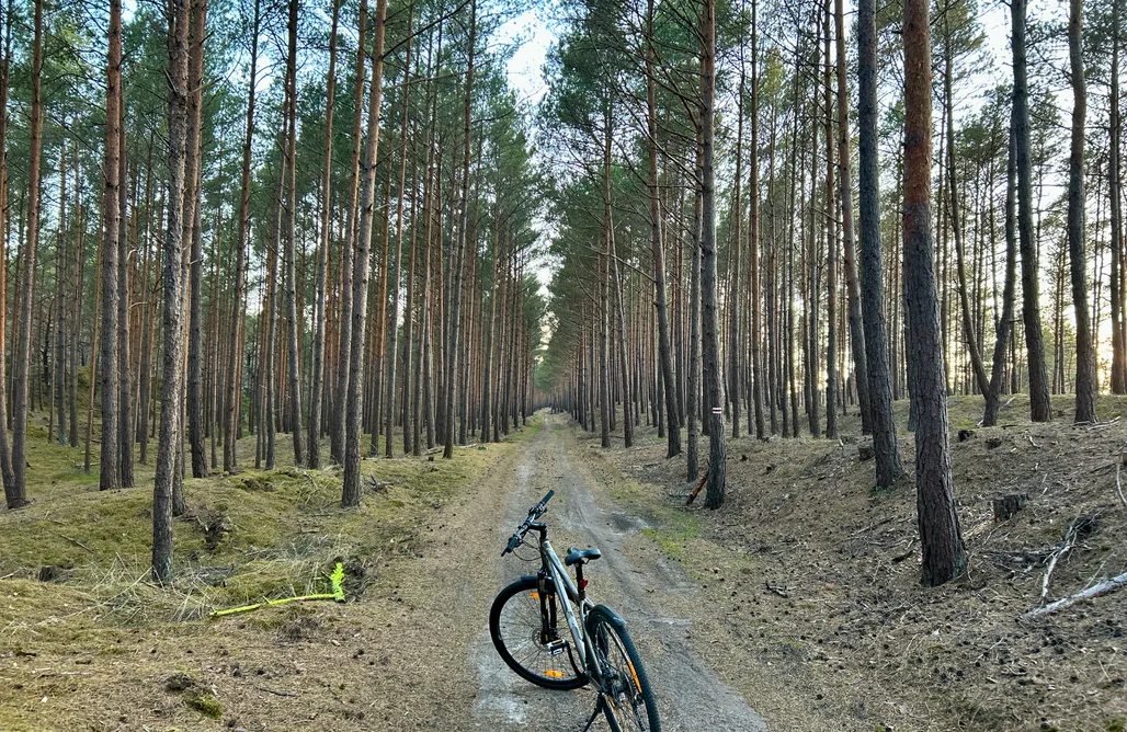 ubytování AlohaCamp Chatky Mořské Klima Sasino 1