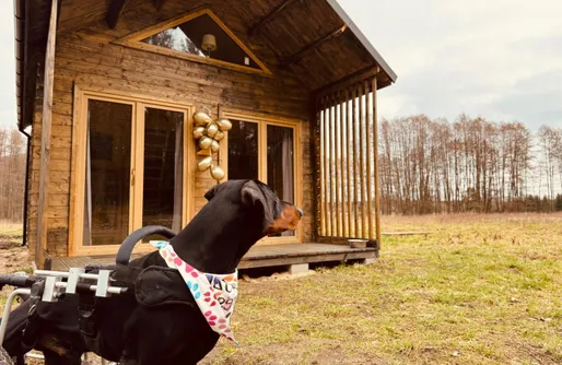 Zdjęcie obiektu aResowa Wioska