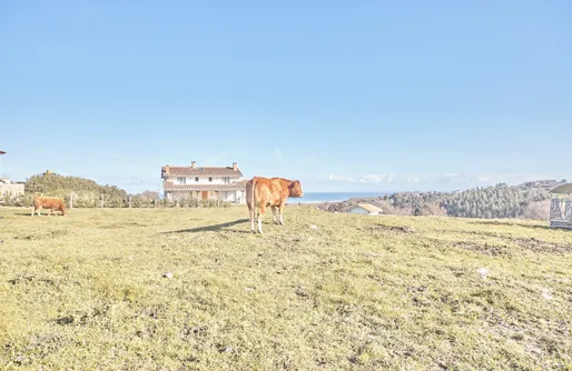 Imagen de Casa El Tejo