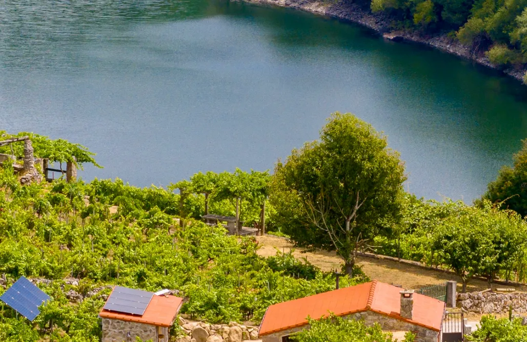 alojamientos AlohaCamp Casiña Raíz Entre viñas y cielo Ribeira Sacra 4