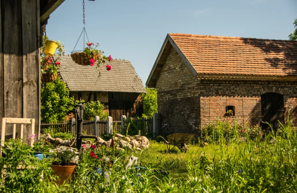 Urlaub auf dem Bauernhof Olęderska Zagroda Pracownia Boruja 3