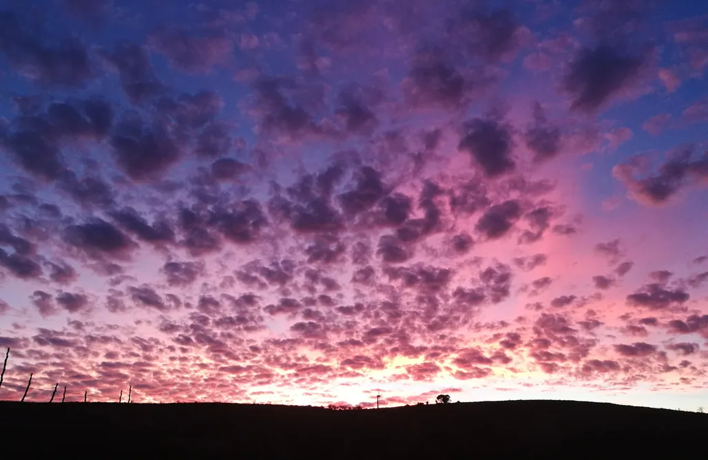 AlohaCamp Mirador Los Quinientos 1