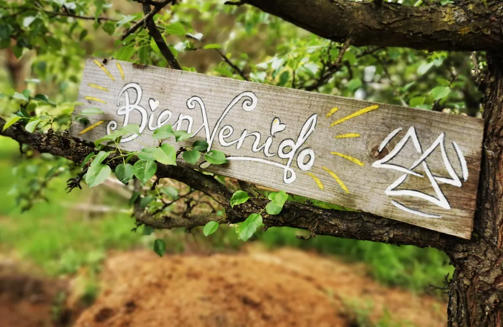 AlohaCamp Maloka - Zaczarowany Las 3