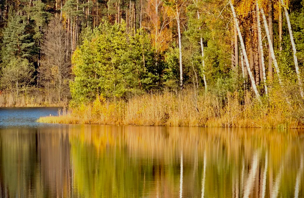 noclegi AlohaCamp Siedlisko Dobrych Snów  4