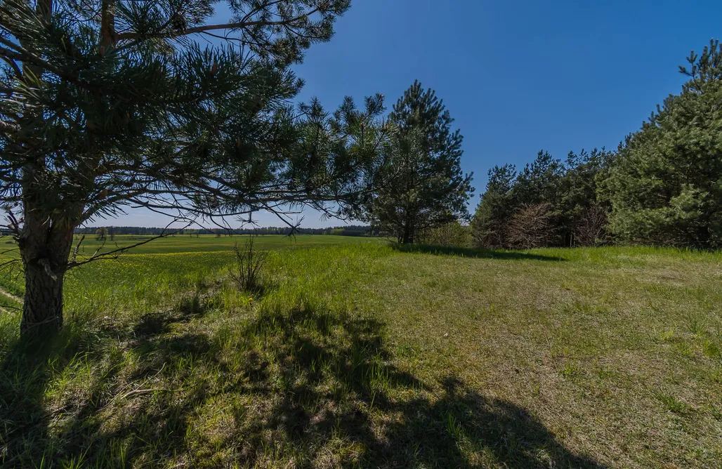 Camping Poland Camp Site - Siedlisko Pili Pili 2