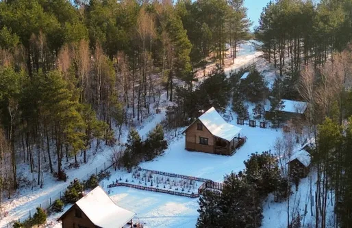 Zdjęcie obiektu Głuszecki Las