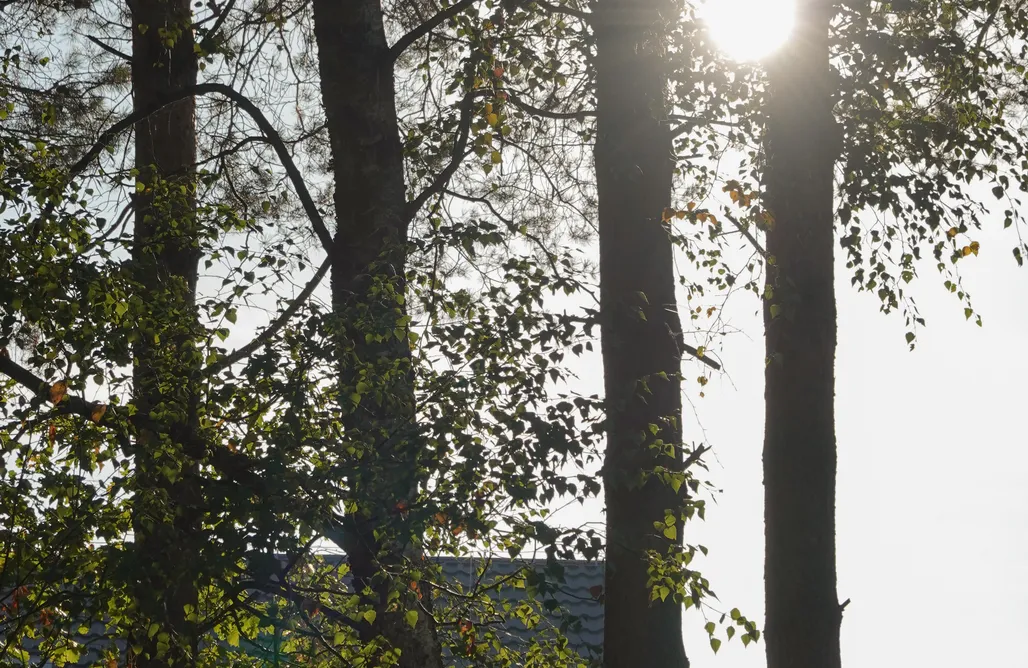 Glamping Poland Wyraj nad Pilicą 3