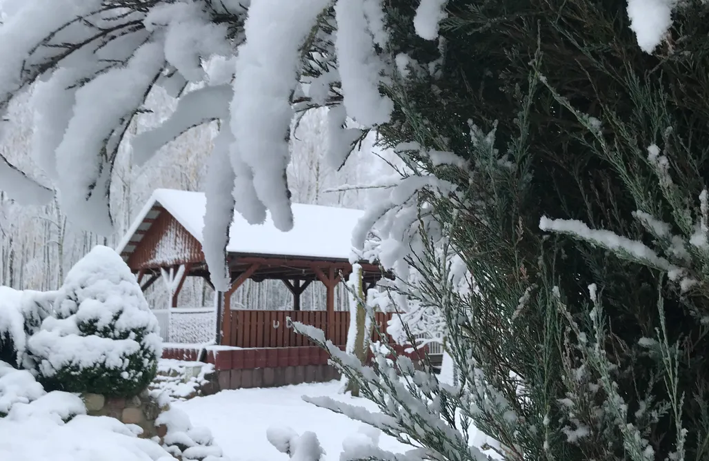 Alloggi AlohaCamp Między lasem a wsią 1