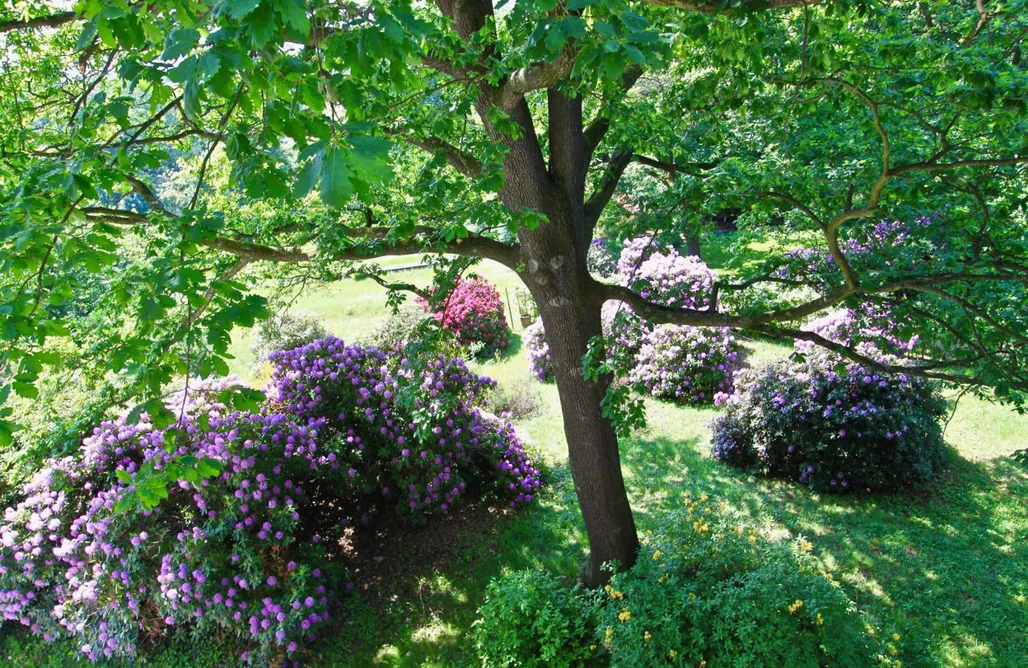 Ferienwohnung Natur und Kunst AlohaCamp