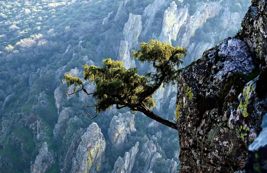 AlohaCamp La Aldeilla 1