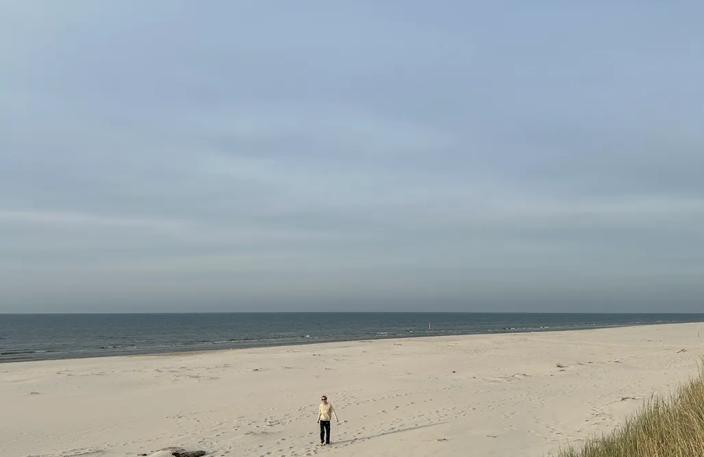 AlohaCamp accommodation Domki Morski Klimat Sasino 1