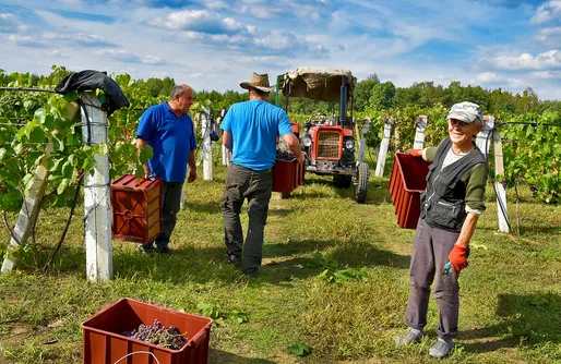 Zdjęcie obiektu Miejsce kamperowe - Winnica Dwórzno