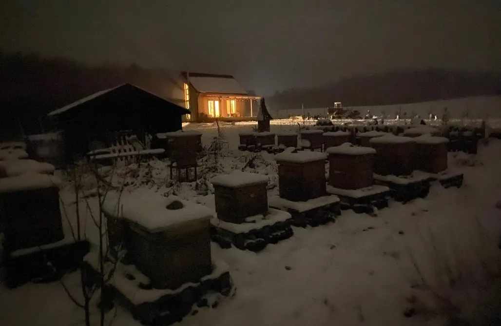 AlohaCamp accommodaties Pszczołowisko 3