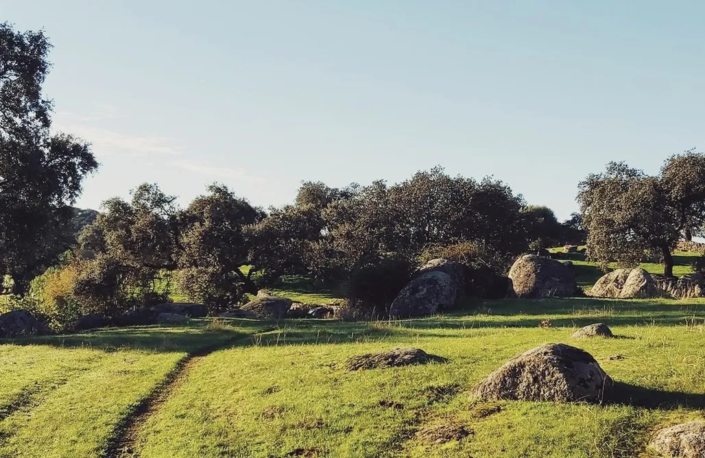 alojamientos AlohaCamp Sitio para autocaravanas y tiendas - Paraíso Natural de Kiko Cosquilla 4