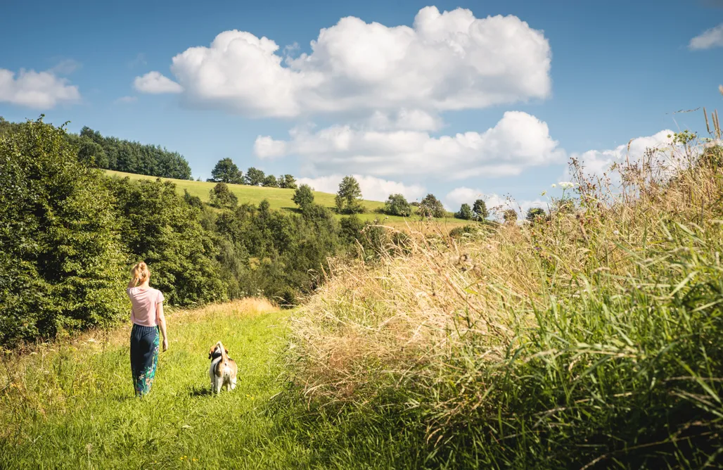 AlohaCamp Bliżej Nieba 1