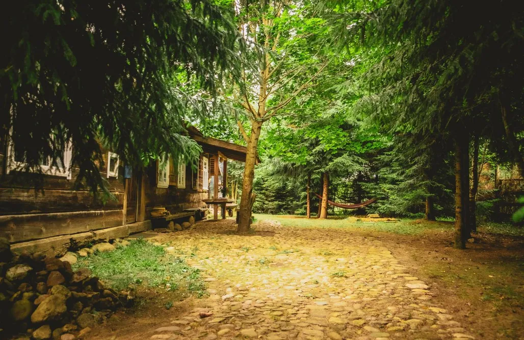 Hajnówka Noclegi Domek Gajowy - 6 3