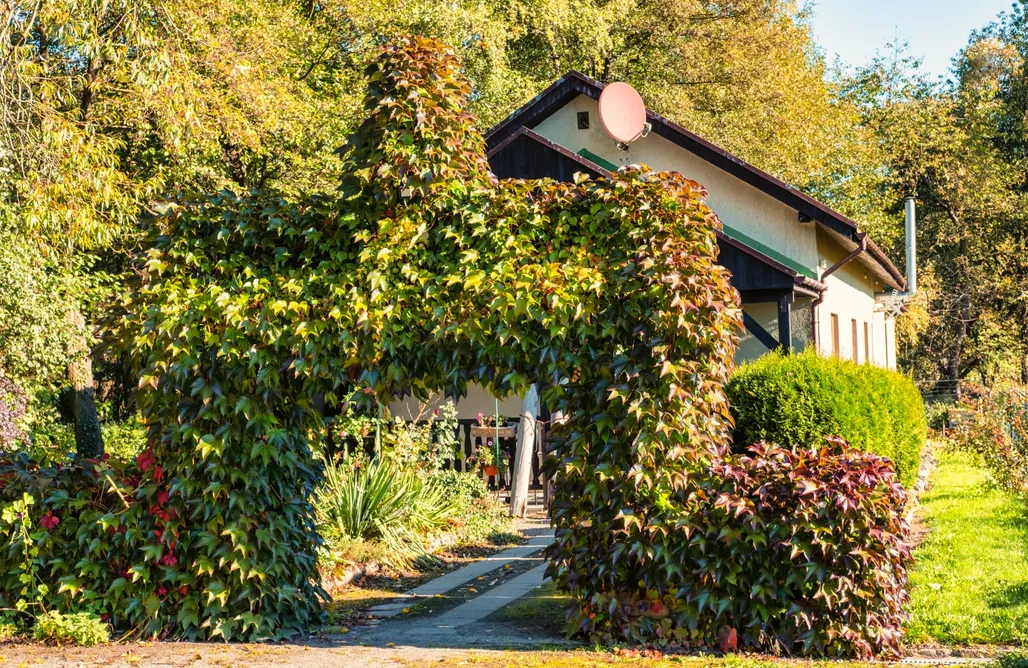 Agroturystyka Dolnośląskie ze zwierzętami Wiejski Raj 2