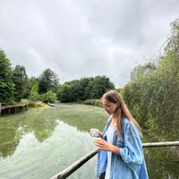 Wiktoria użytkownik