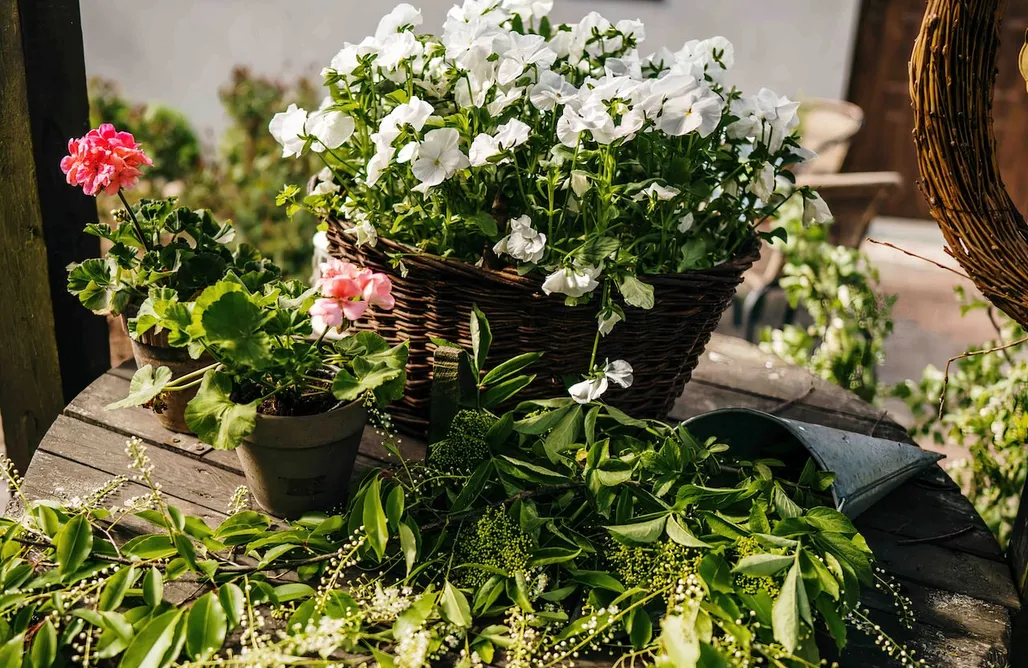 noclegi AlohaCamp Chata Oleńka i Agata 5