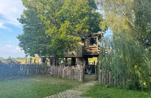 Zdjęcie obiektu Domek na drzewach