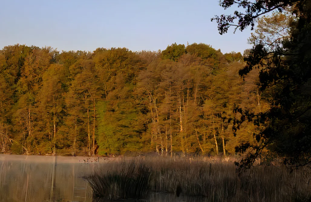 Unterkunft AlohaCamp Leśna Przystań Lubrza 5