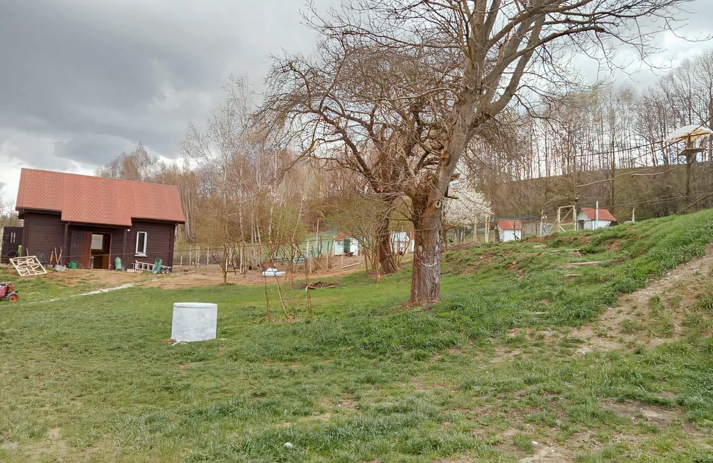 Entdecken Sie die heitere Schönheit Polens Dolina Jamcito 1