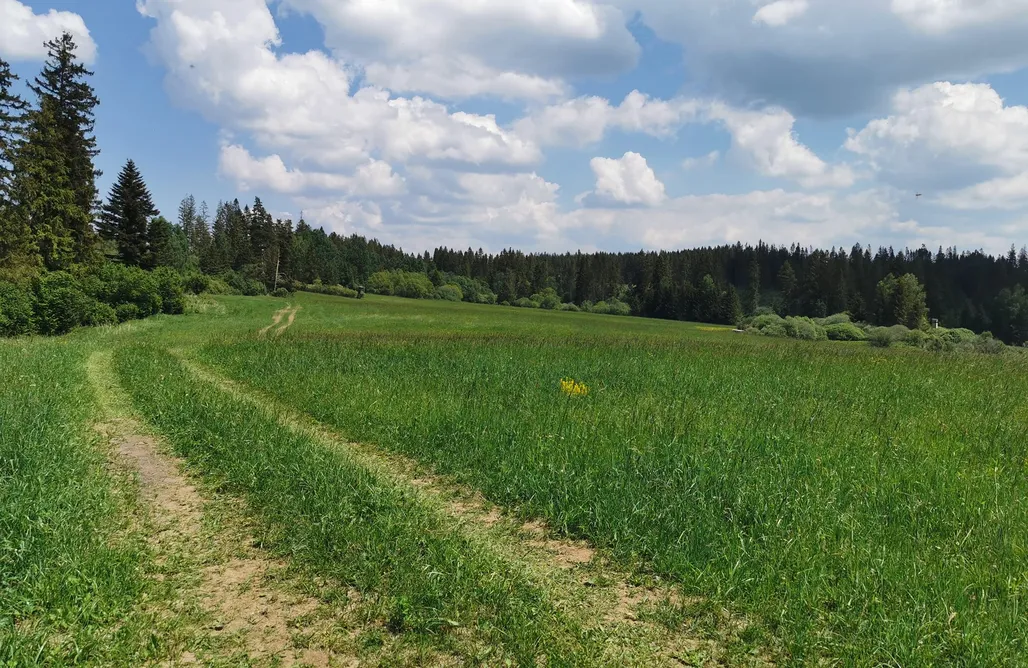AlohaCamp Domki z Jabłonki (z Jacuzzi) 1