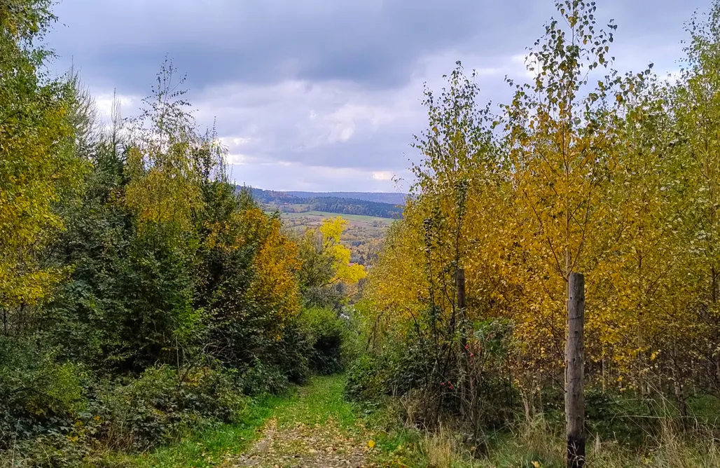 Unterkunft AlohaCamp Relaksatorium Sfera Beskidu 1
