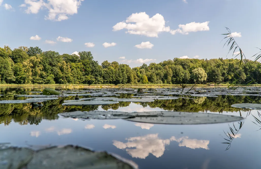 Glamping Poland Beniaskie! Agroturystyka nad Jeziorem 1