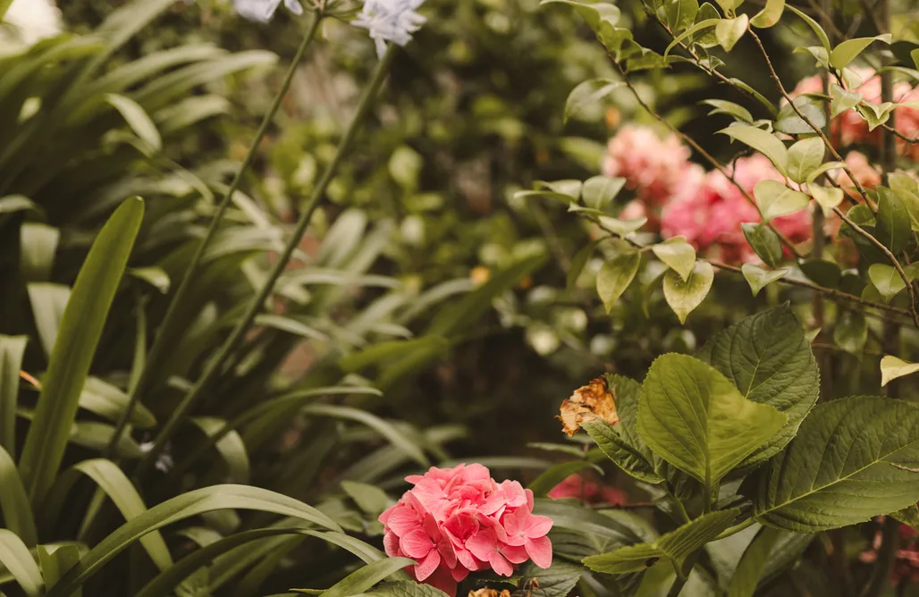 Alloggio AlohaCamp Floravista, villa de lujo para 12 personas en Valle, Piloña 1