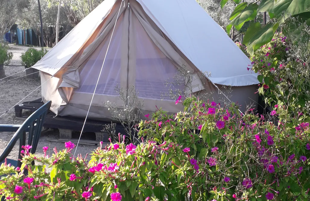 AlohaCamp accommodation Glamping - Pachamama Ecocamping 3