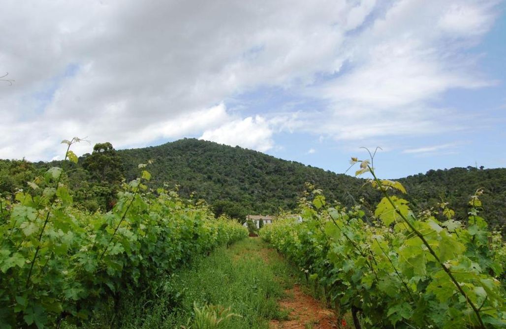 Hébergement AlohaCamp Bell-Lloc 3