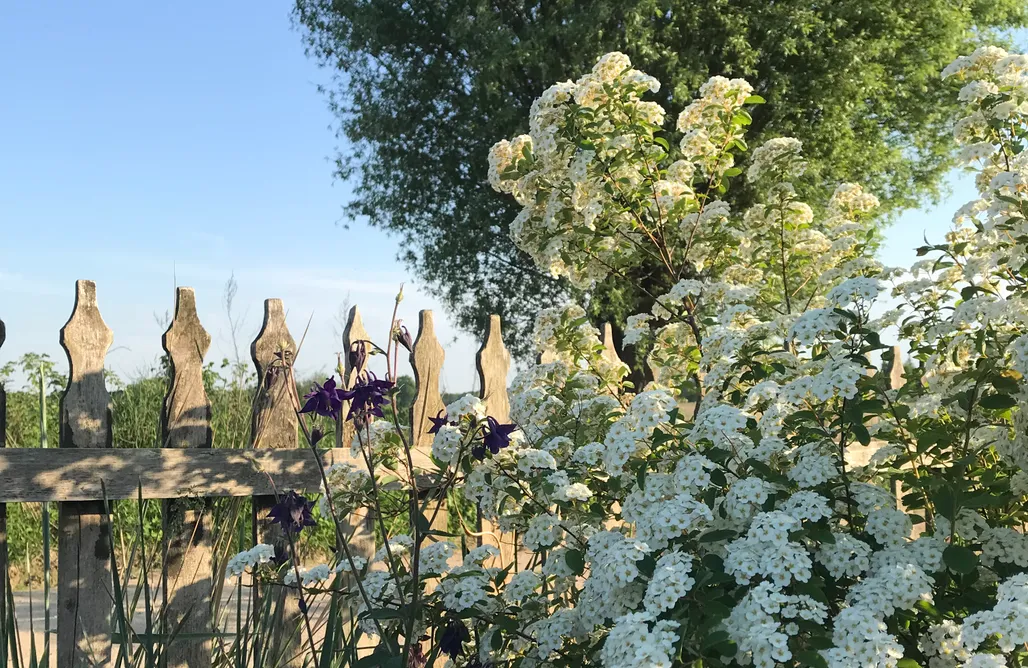 AlohaCamp Perły 27 1