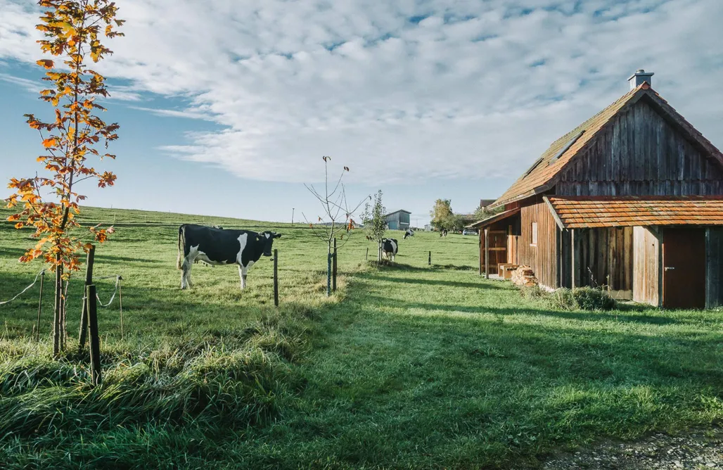 Hébergement AlohaCamp Pavillon d'amour 5