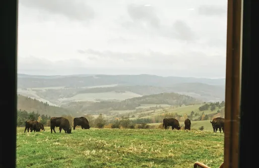 Zdjęcie obiektu Chaty w chmurach