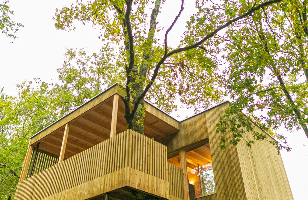 AlohaCamp accommodation Enoturismo Maria Manuela 5