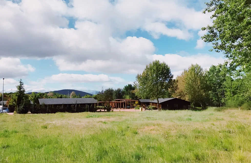 AlohaCamp Cabaña Estándar 1