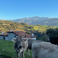 Francisco host Apartamentos Picabel