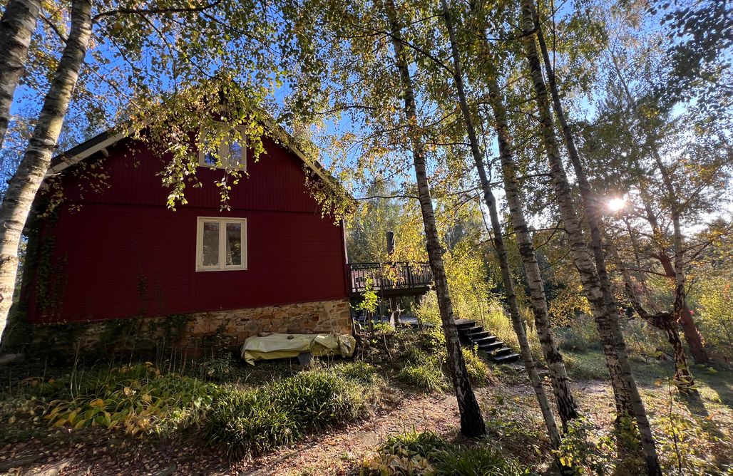 AlohaCamp accommodation 1ha prywatności - Dom Wśród Brzóz 5