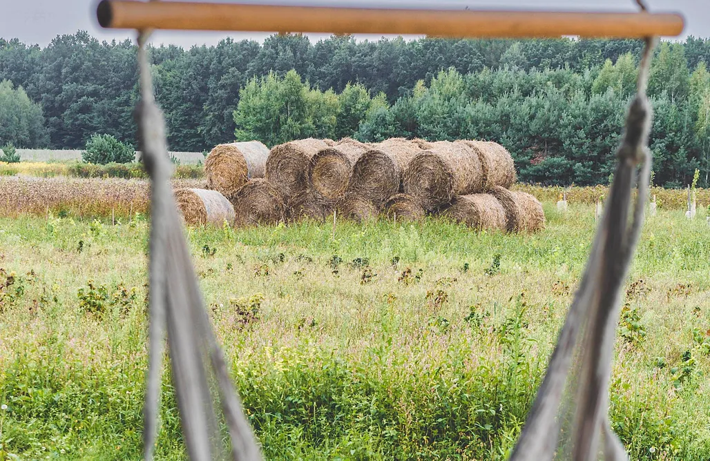 noclegi AlohaCamp Miejsce kamperowe i namiotowe - Zaborze 47 2