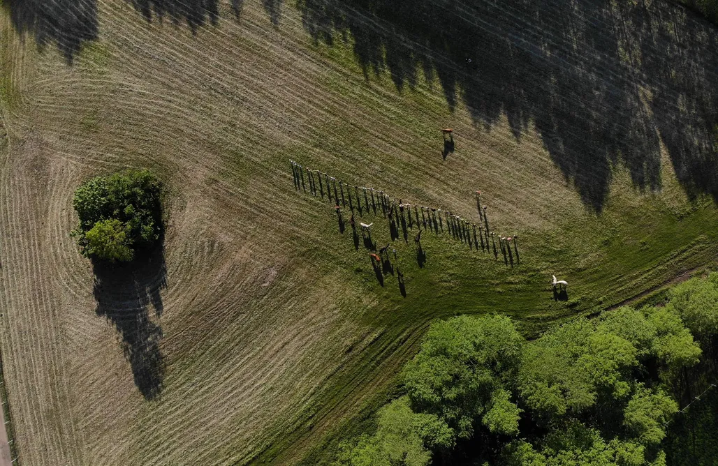 noclegi AlohaCamp Miejsce kamperowe i namiotowe - Stajnia Pasja 1